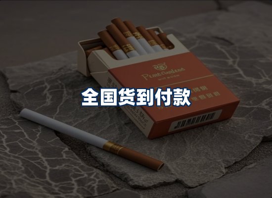 专业团队办公环境